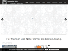 Tablet Screenshot of brandenfels.com